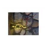 NEW 2 Pack of Celebrations LED 18 Indoor Warm White Gnome Lights - Green and Red