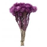 Pallet of Store Overstock Vickerman Product and Returns - UNPROCESSED