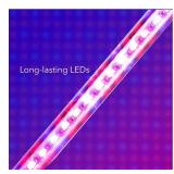 Dartwood LED Grow Lights for Indoor Plants with Red Blue Spectrum - Plant Grow Light with 9 Brightness Levels, Auto On Off Function