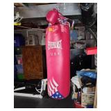 Everlast Punching Bag and Gloves