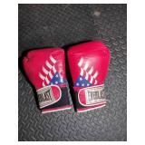Everlast Punching Bag and Gloves