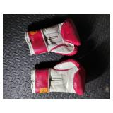 Everlast Punching Bag and Gloves