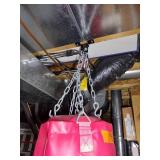 Everlast Punching Bag and Gloves