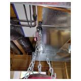 Everlast Punching Bag and Gloves