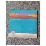 12 records: Simon & Garfunkel Bridge over Troubled Water, Jefferson Starship, Rainbow Rising, Tommy Bolin Private Eye,  Chaka Khan, Steve Wonder, Rainbow, Tommy Bolin