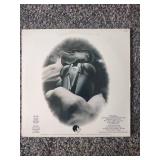 10 records: 2Ted nugent, Point Blank, Foghat, The Police, Cheap Trick, Scorpion and more