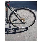 Trek 10 speed bike bike (dark green)