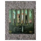 5 records, Rex where do we go from here, mountain twin peaks, Styx the grand illusion, wild-eyed southern boys, 38 special, and who’s next