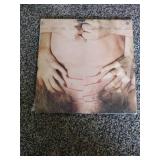 10 Records:Eagles Live, Zappa/Mothers, Gary Numan, 20 Giant hits, Reo Speedwagon, Ted Nugents, Scorpions, Rare Earth in concert