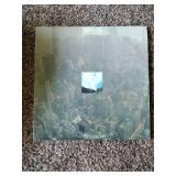 10 Records:  Neil Young, Hits of The Rolling Stones by The Current Event, Gary Numan, Tom Petty, Zephyr, Blue Oyster Cult, Molly Hatchet & more