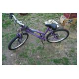 Magna Brand Great Divide Youth Bike