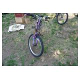 Magna Brand Great Divide Youth Bike