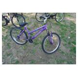 Magna Brand Great Divide Youth Bike