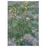 2 - Tire Lockdown Vehicle Tie Down Straps