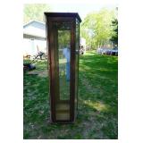 Multi Shelf Glass Corner Curio Cabinet With Light