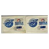 Large Bundle of First Day of Issue Covers from Around the World #1