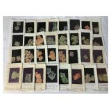 Bundle of Netherlands Stamps from late 1800