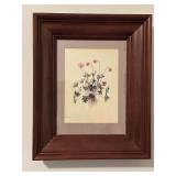 Framed Botanical Print of Anemone Flowers
