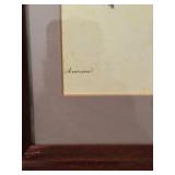 Framed Botanical Print of Anemone Flowers