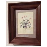 Framed Botanical Print of Anemone Flowers