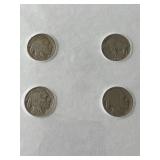 Buffalo Nickel Collection