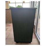 LOCKWOOD SINGLE SPLIT DOOR TRASHCAN