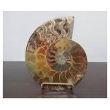 Lovely Large Genuine Natural Ammonite Specimen w/Quartz/Crystals