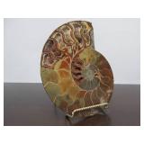 Lovely Large Genuine Natural Ammonite Specimen w/Quartz/Crystals