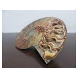 Lovely Large Genuine Natural Ammonite Specimen w/Quartz/Crystals