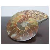 Lovely Large Genuine Natural Ammonite Specimen w/Quartz/Crystals