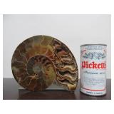 Lovely Large Genuine Natural Ammonite Specimen w/Quartz/Crystals