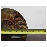 Lovely Large Genuine Natural Ammonite Specimen w/Quartz/Crystals