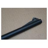 Charter Arms AR-7 Explorer .22 LR Semi-Auto Takedown Survival Rifle