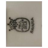 Paul Muller Selb Bavaria China Set with Floral Design