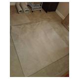 Set of Beige Carpet Remnants in Various Sizes