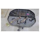 Compound Bow With Case and Aluminimum Arrows