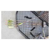 Compound Bow With Case and Aluminimum Arrows