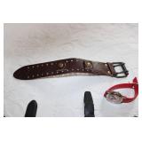 Collection of 16 Vintage and Modern Watches with Various Straps