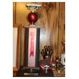 Collection of Bowling Trophies and Awards