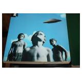 Set of 2 Photography and Illustration Books