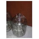 Complete Home Winemaking Equipment Set with Glass Carboys and Accessories