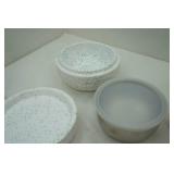 Insulated Container for Stainless Steel Bowl w/lid