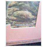 98 Meger Print  Beautiful vibrant Color