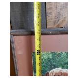 98 Meger Print  Beautiful vibrant Color