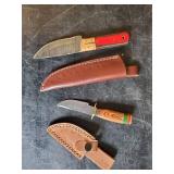 Set of 2 Knives with Sheaths