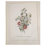 Floral Bouquet Décor Prints B