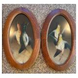 Game Bird Port Hole Prints