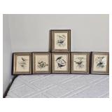 Delightful Avian Decor Print Collection - (6)