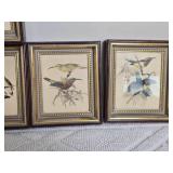 Delightful Avian Decor Print Collection - (6)