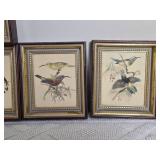 Delightful Avian Decor Print Collection - (6)